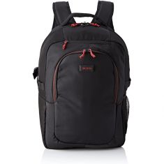 DICOTA Sac à dos BACKPACK GAIN pour PC portable 15.6 22L Design sportif + Souris sans fil 3bt 1000ppp Compartiment rembourré/matelassé  Garantie 2 ans D31719"