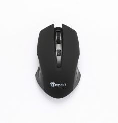 Souris sans fils HEDEN,pile inclut 1600DPI-1200DPI-800DPI ambidextre noir