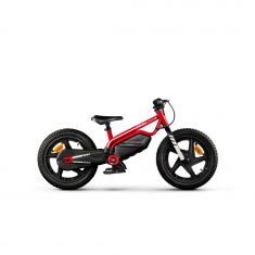 Mini moto elec DUCATI enfant / moteur 250W Pneu 16'' / 16kmh max 15.5kg Batt 21.6V/5.2Ah 112W Ecran Clignotant Charge max 45kg  Frein Tambour