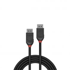 Câble DisplayPort 1.2, Black Line, 2m